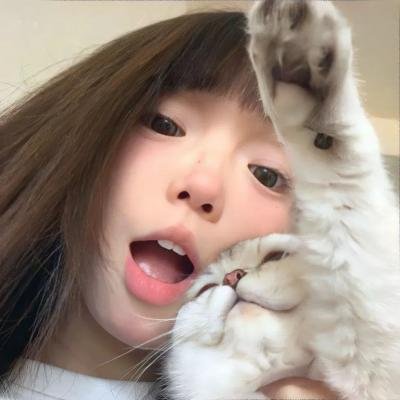 大虎鲨